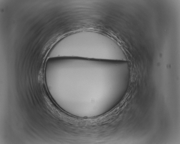 X0000069390002200605120955