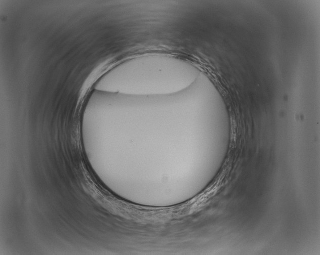 X0000069390004200605120955