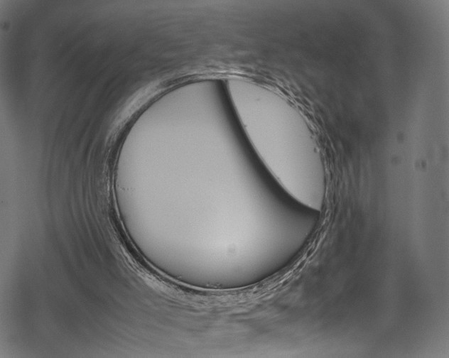 X0000069390005200605120955