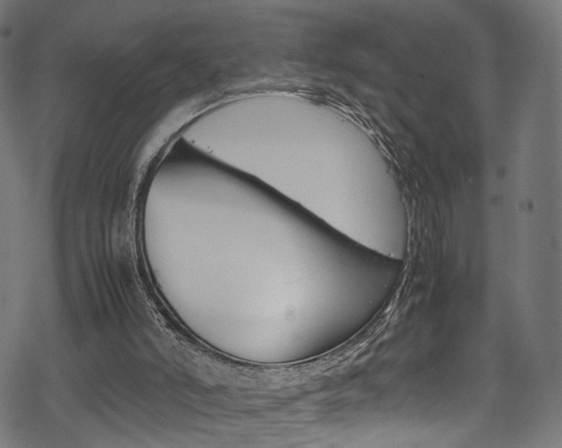 X0000069390006200605120955