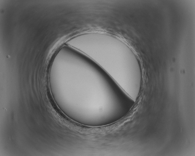 X0000069390007200605120955