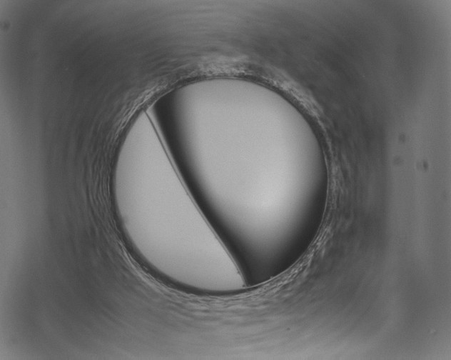 X0000069390009200605120955