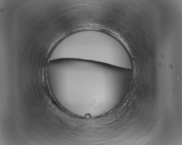 X0000069390010200605120955