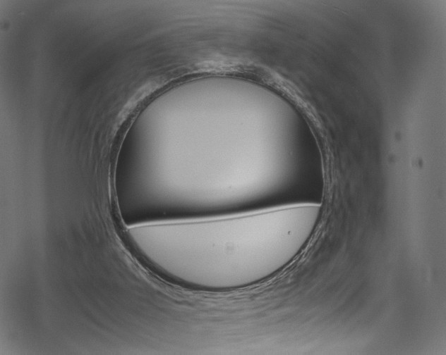 X0000069390011200605120955