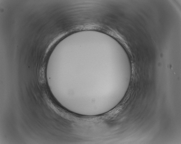 X0000069390012200605120955