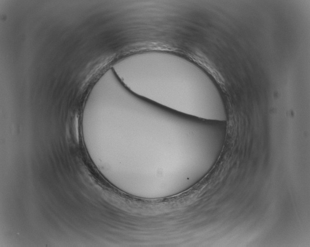 X0000069390014200605120955