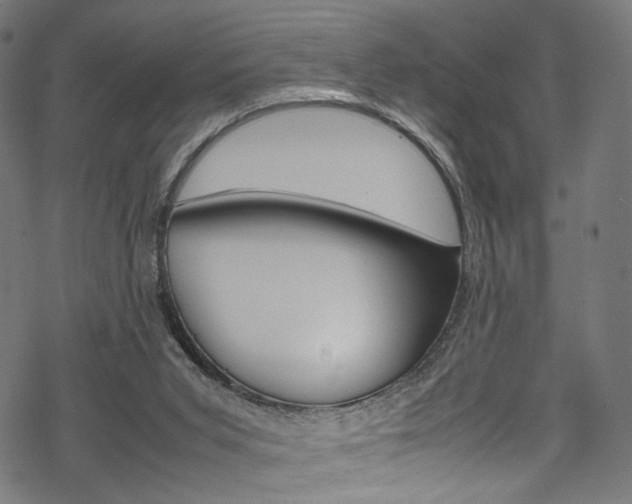 X0000069390015200605120955