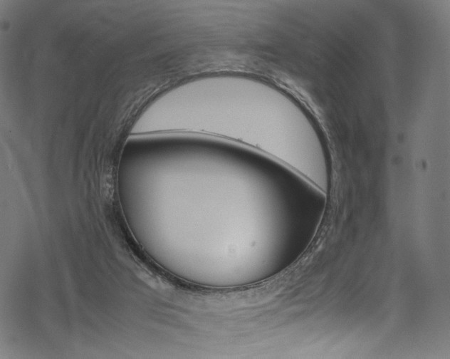 X0000069390017200605120955