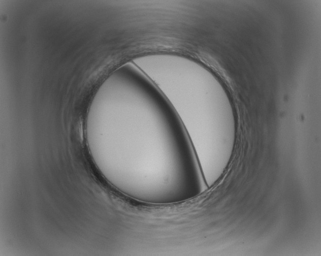 X0000069390021200605120955