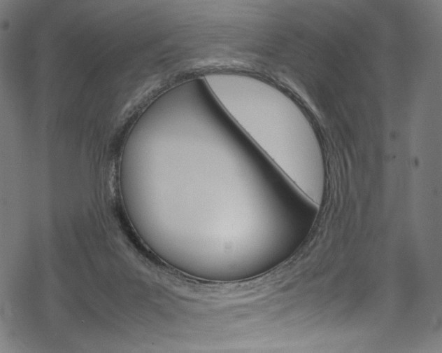 X0000069390023200605120955