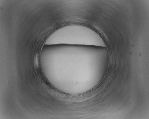 X0000069390026200605120955