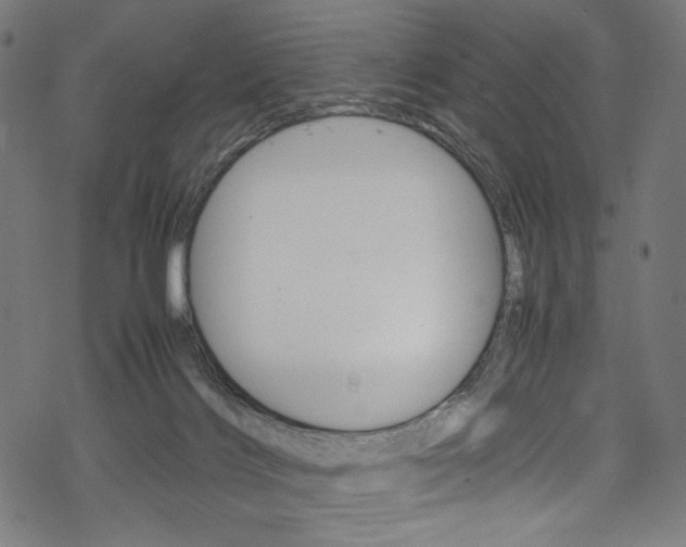 X0000069390028200605120955