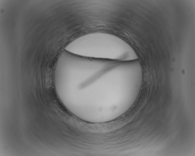 X0000069390030200605120955