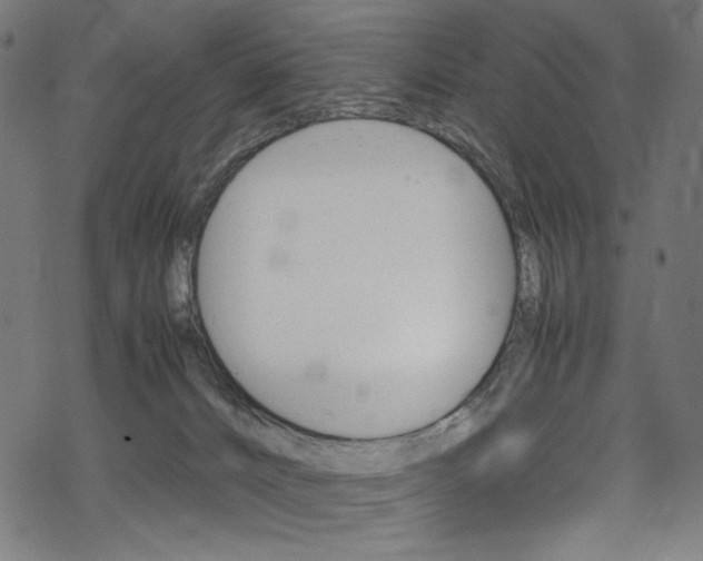 X0000069390032200605120955