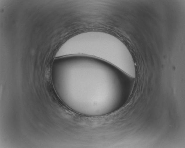 X0000069390033200605120955