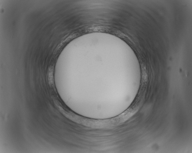 X0000069390036200605120955