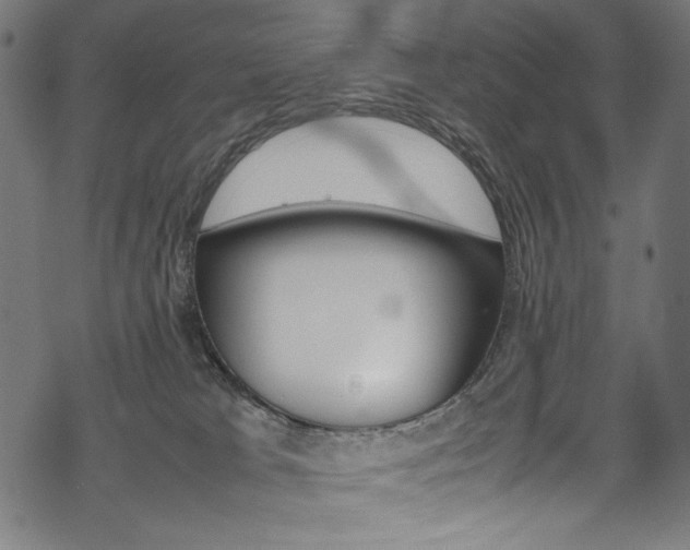 X0000069390037200605120955