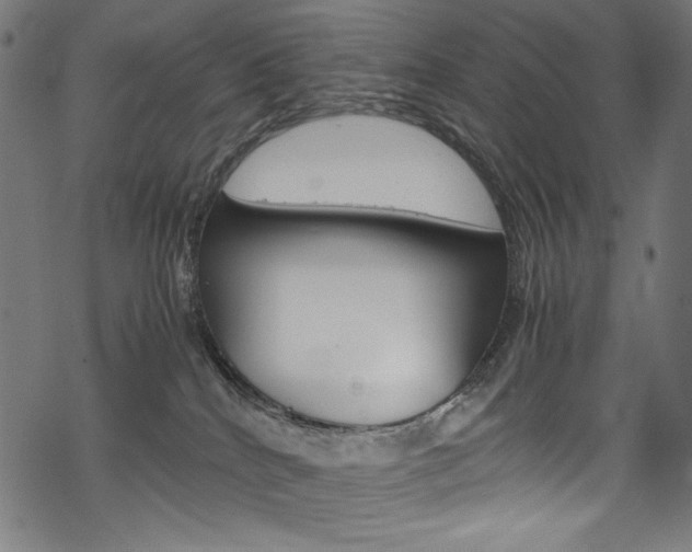 X0000069390040200605120955