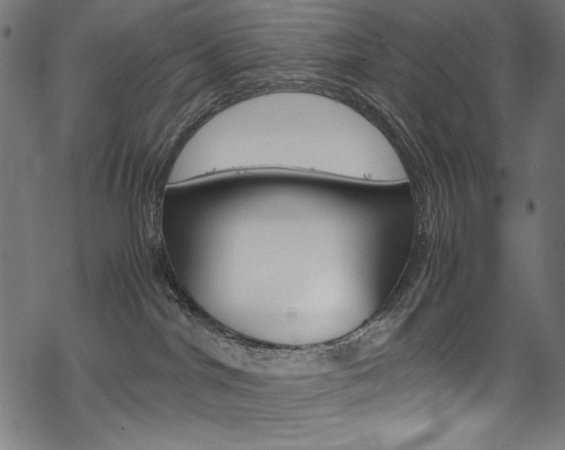 X0000069390044200605120955