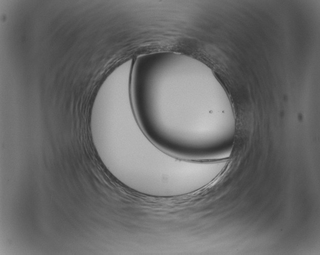 X0000069390045200605120955