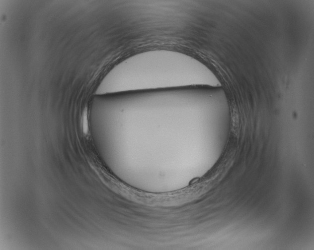 X0000069390046200605120955