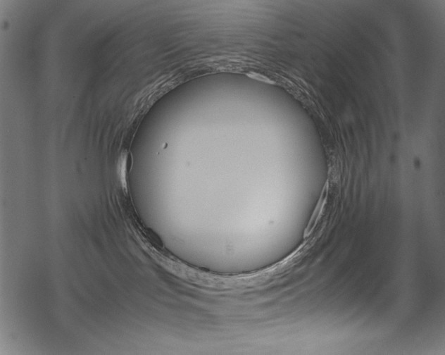 X0000069390047200605120955