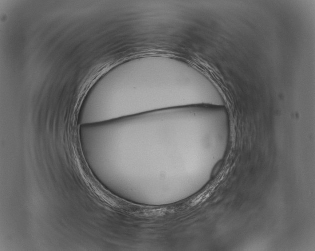 X0000069390049200605120954