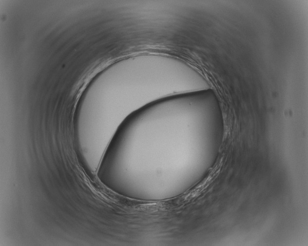 X0000069390050200605120954