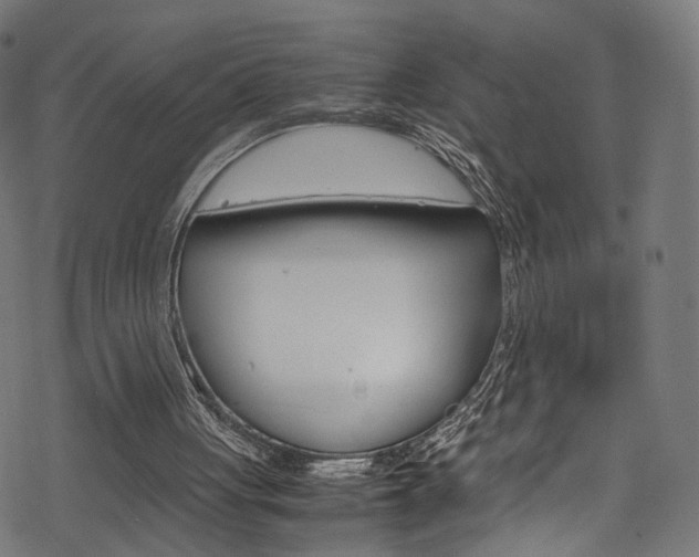 X0000069390051200605120954