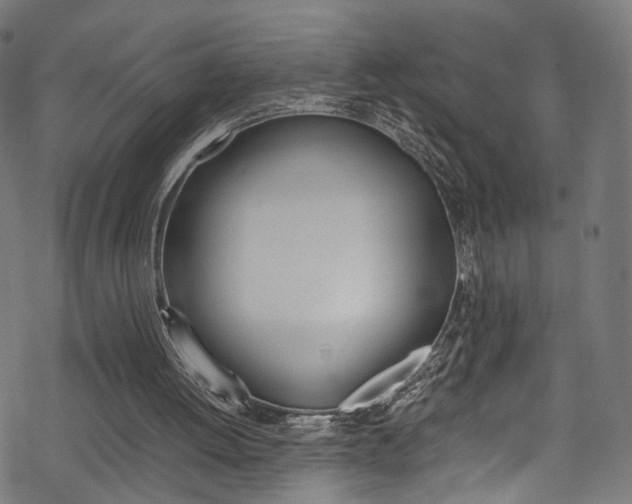 X0000069390052200605120954