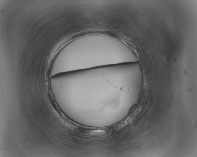 X0000069390053200605120954