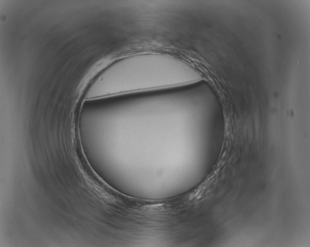 X0000069390054200605120954