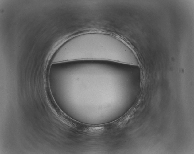 X0000069390055200605120954