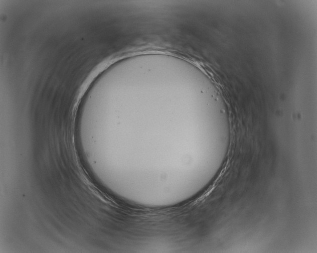 X0000069390056200605120954