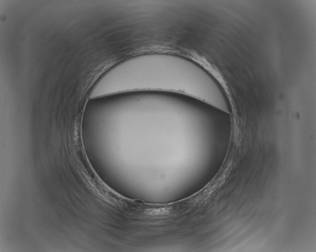 X0000069390057200605120954