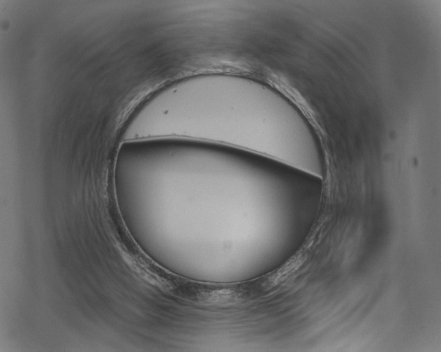 X0000069390058200605120954