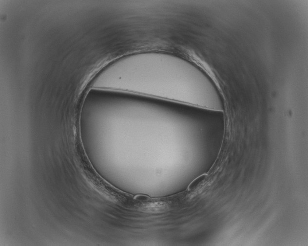 X0000069390059200605120954