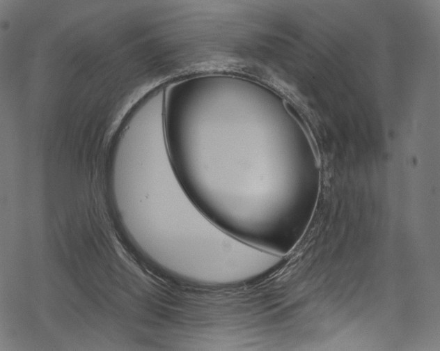 X0000069390060200605120954