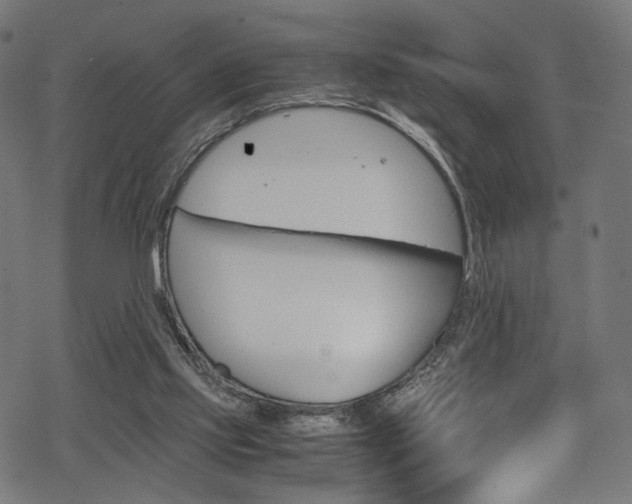 X0000069390061200605120954