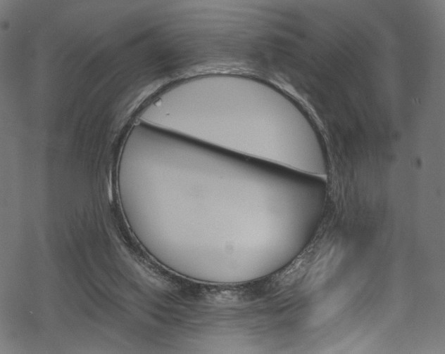 X0000069390062200605120954