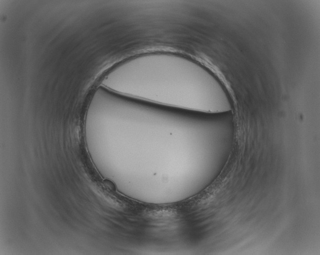 X0000069390063200605120954