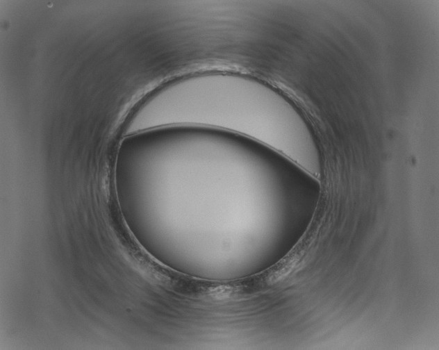 X0000069390064200605120954