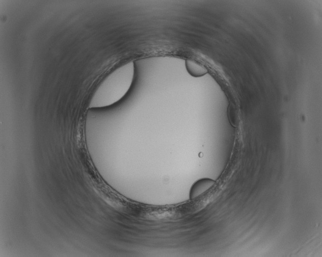 X0000069390065200605120954