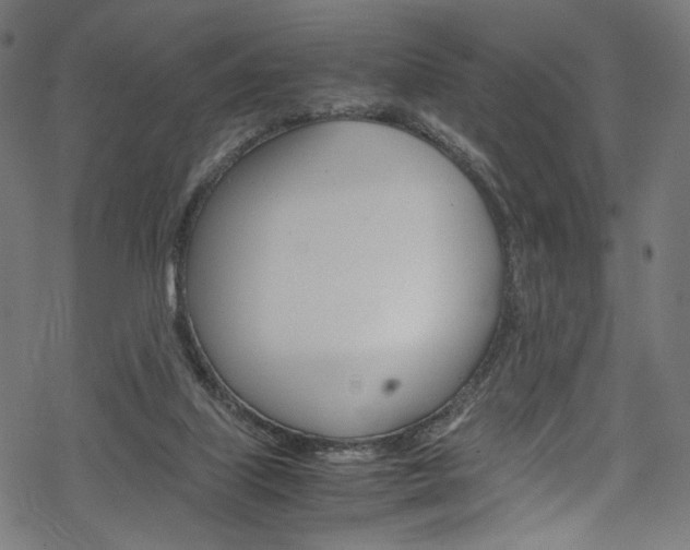 X0000069390067200605120954