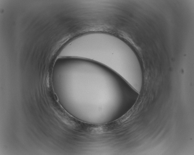 X0000069390068200605120954