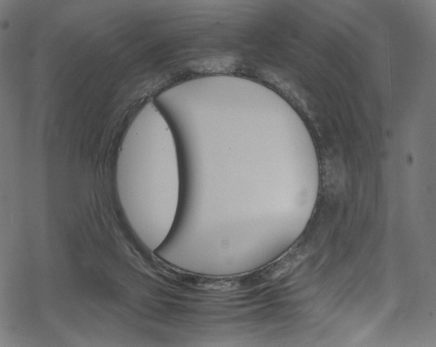 X0000069390069200605120954