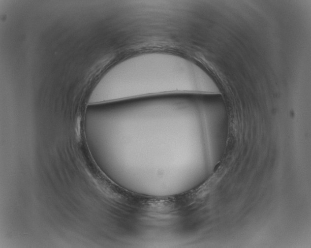 X0000069390070200605120954