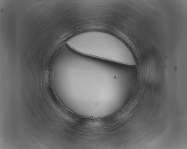 X0000069390071200605120954