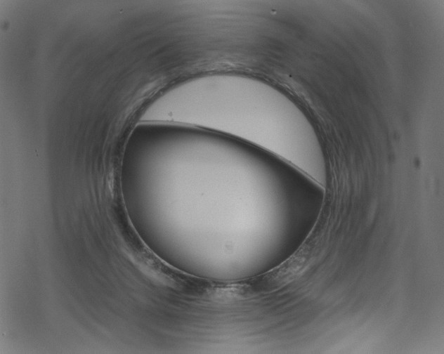 X0000069390072200605120954