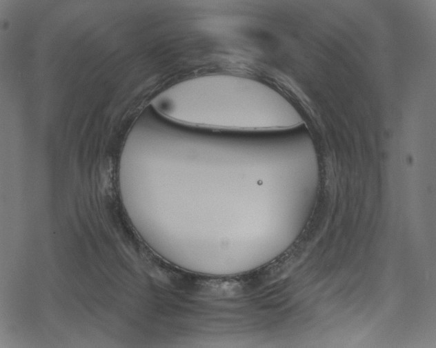 X0000069390073200605120954